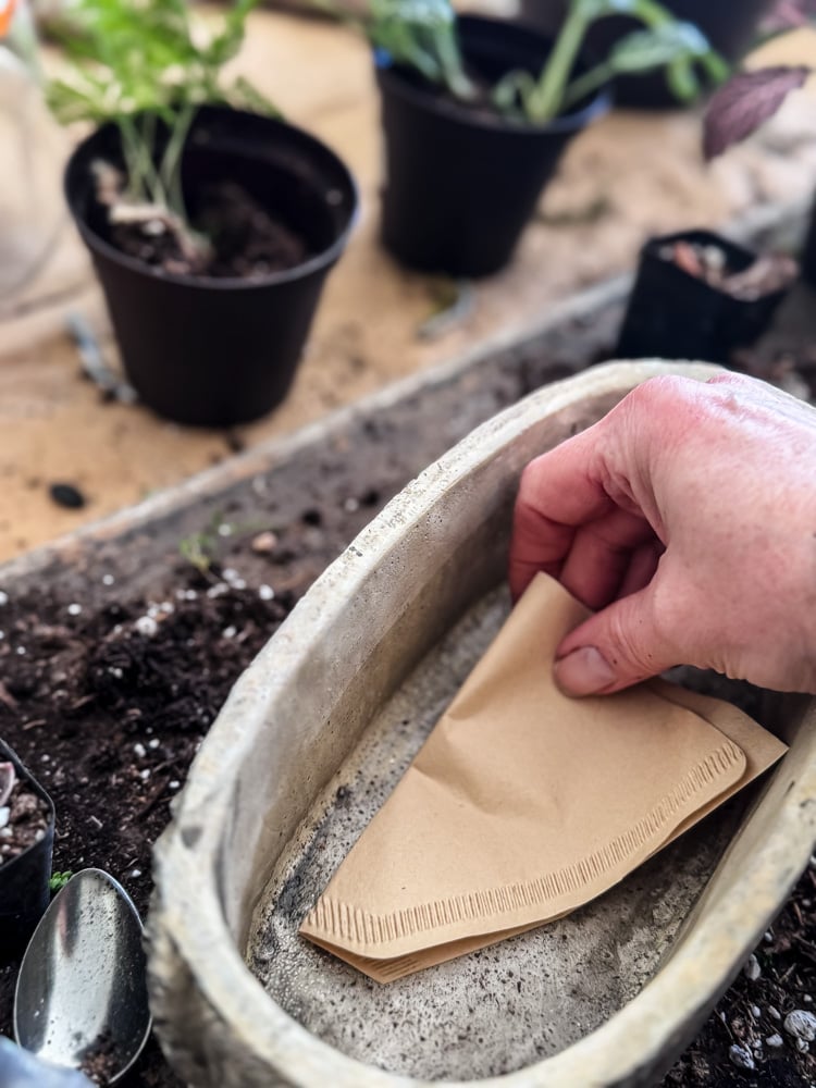 adding a coffee filter to bottom of planter