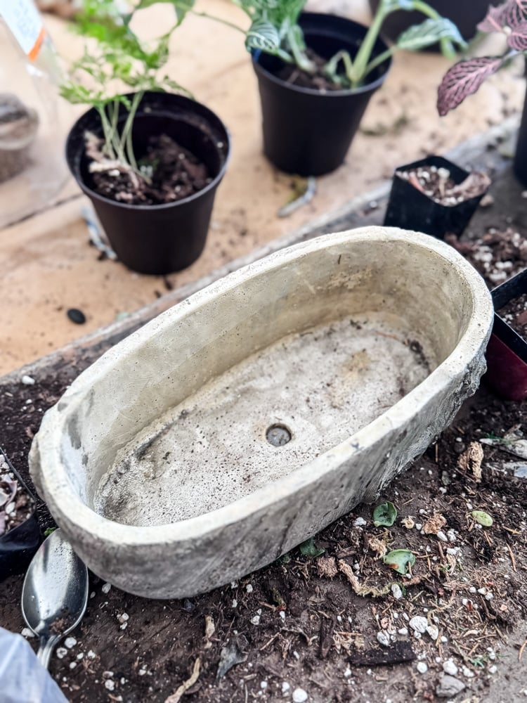 cement oblong planter