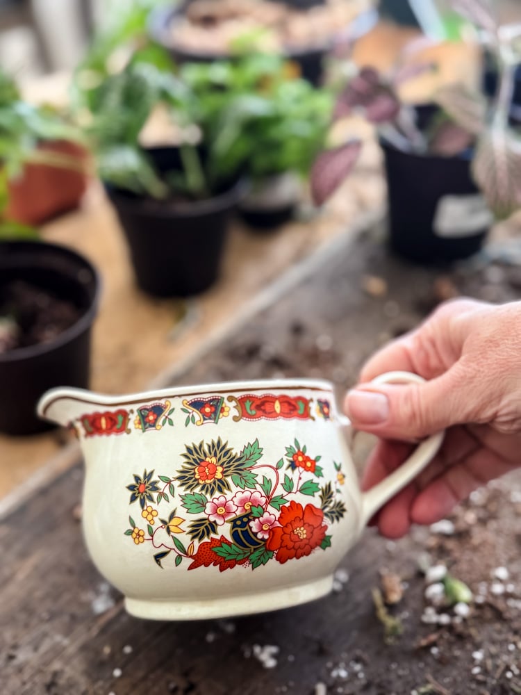 Irish china creamer with red floral pattern