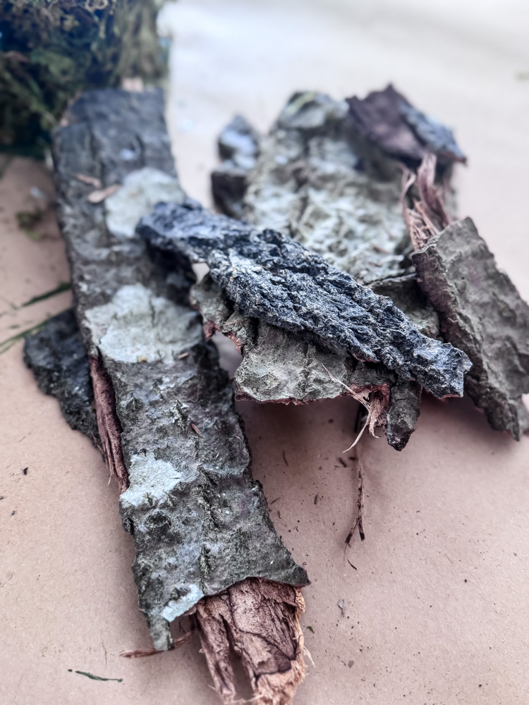 tree bark pile for crafting