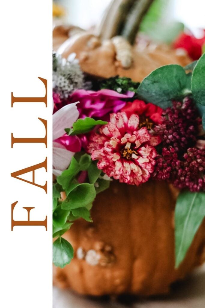 fall graphic with flower filled pumpkin