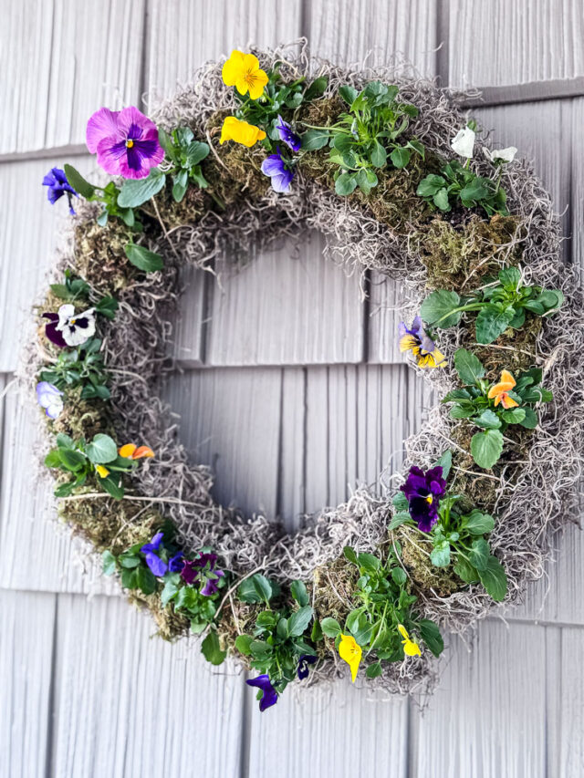 Make a Living Pansy Wreath for Spring - Cottage On Bunker Hill