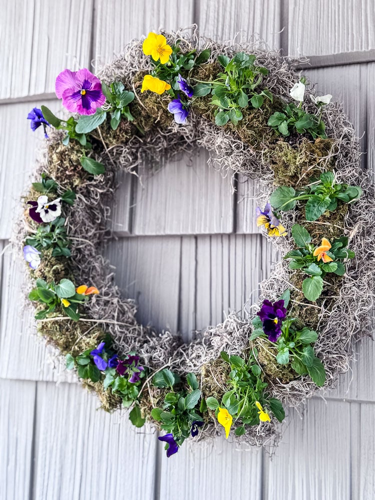 live pansy wreath hanging on a grey shingled house