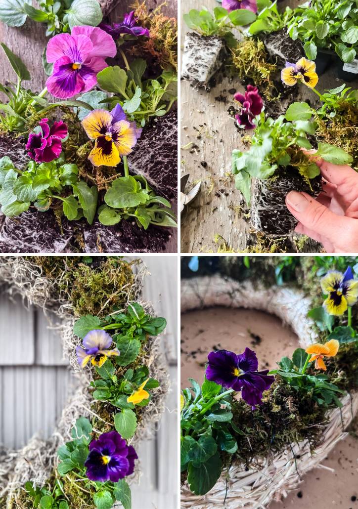 pansy wreath collage of photos of the pansies and the wreath