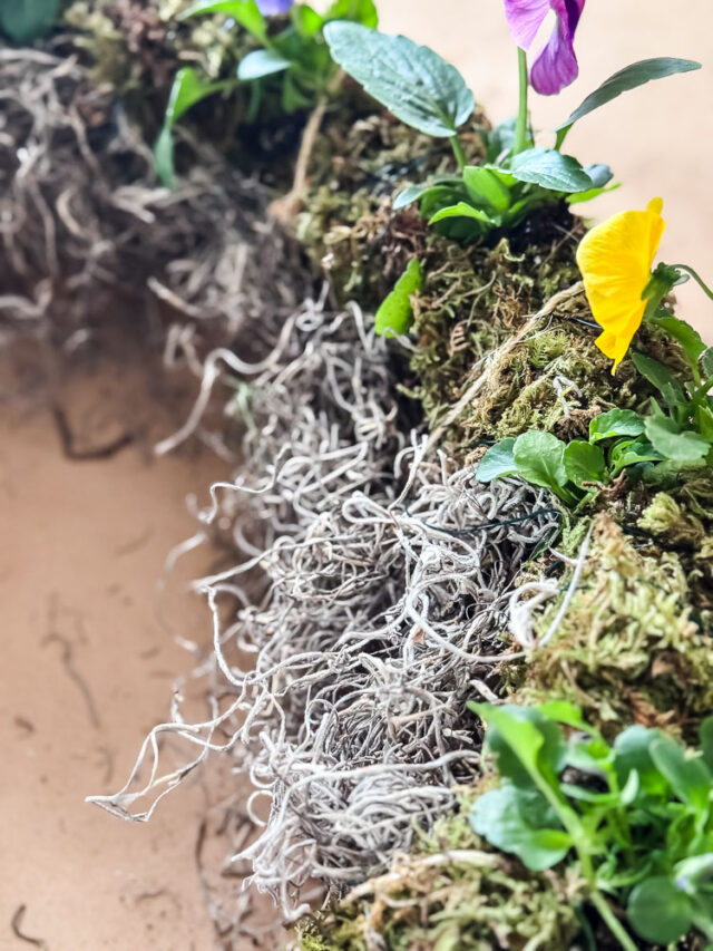 Make a Living Pansy Wreath for Spring - Cottage On Bunker Hill