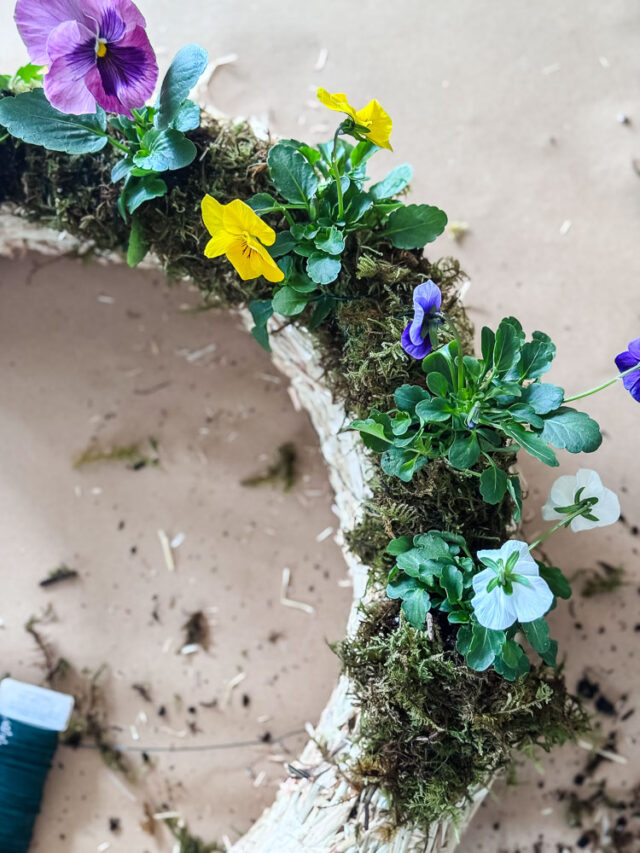 Make a Living Pansy Wreath for Spring - Cottage On Bunker Hill