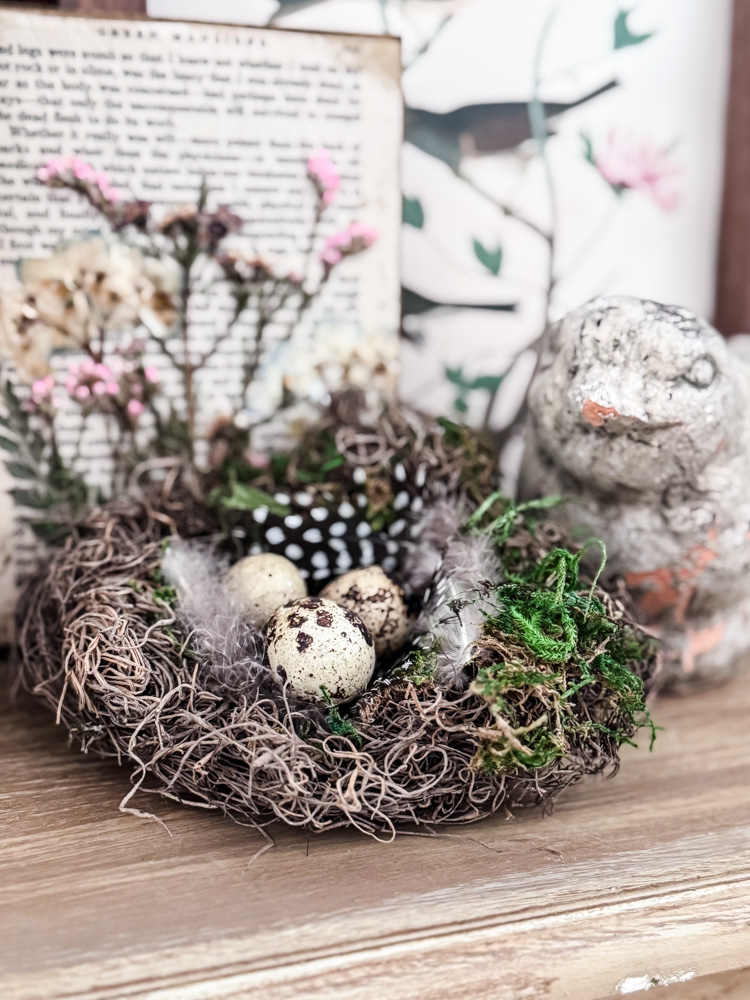 spring bird nest on a table