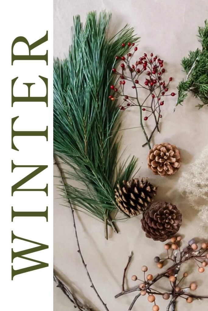 winter graphic with greenery, pinecones, and winter berries