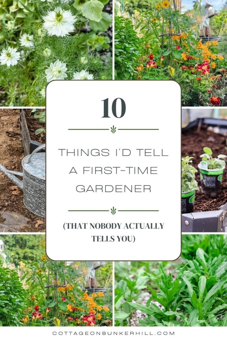 10 Things I’d Tell a First-Time Gardener (That Nobody Actually Tells You)