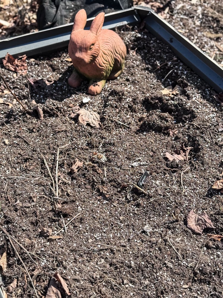 empty raised garden bed with just soil