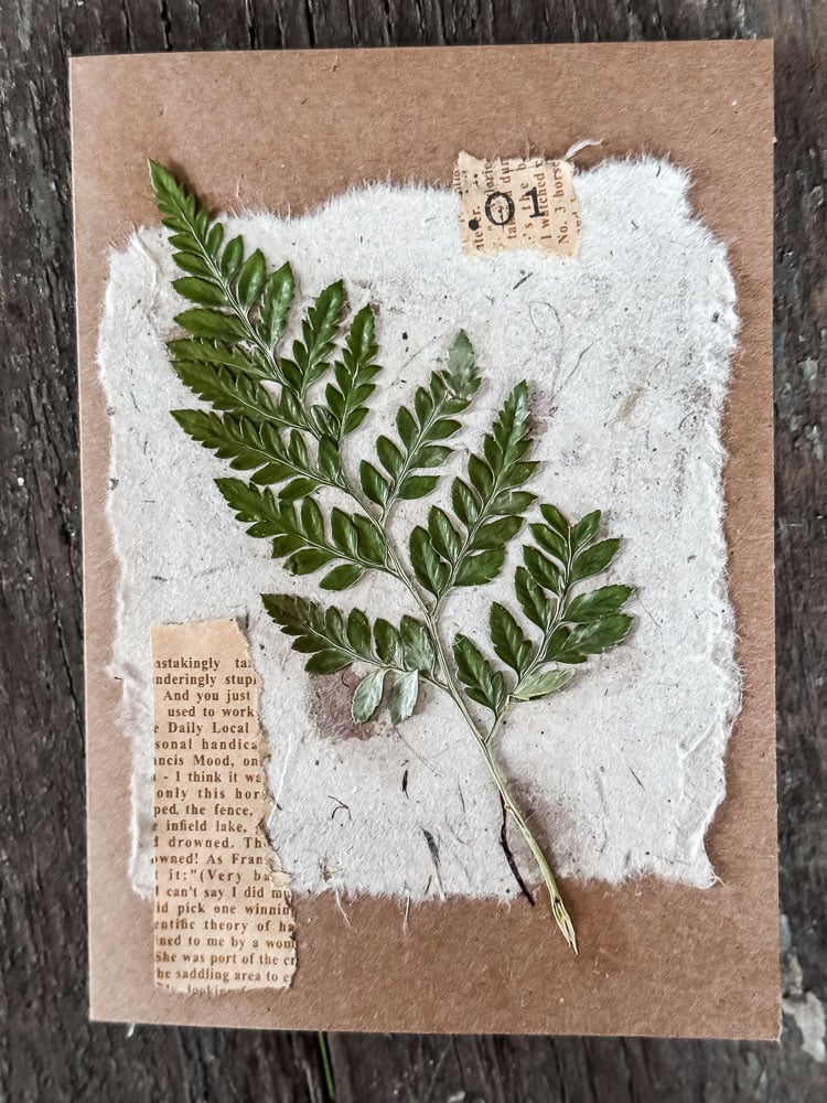 fern handmade notecard