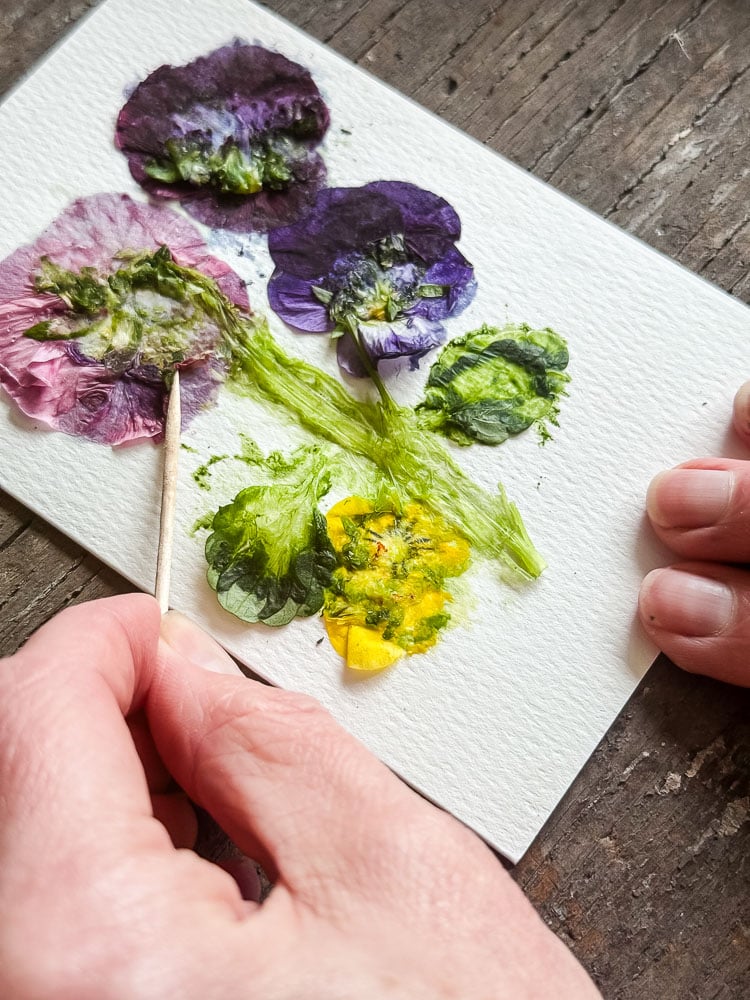 using the flower pounding method to make a pansy print