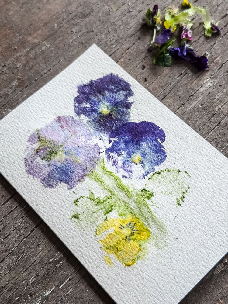 pansy images that were pounded into a notecard