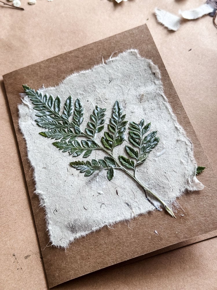 gluing a fern onto a handmade notecard project