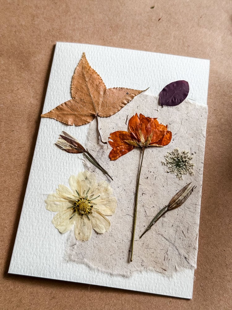 making a handmade card with pressed flowers