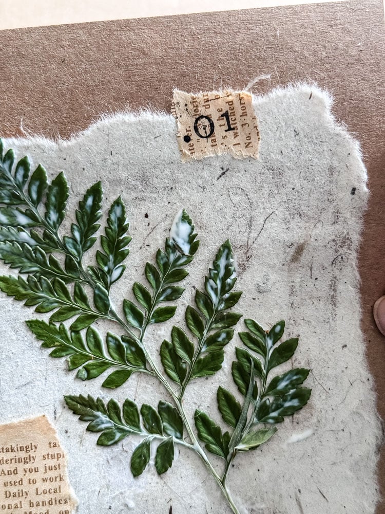 making a handmade notecard with a fern