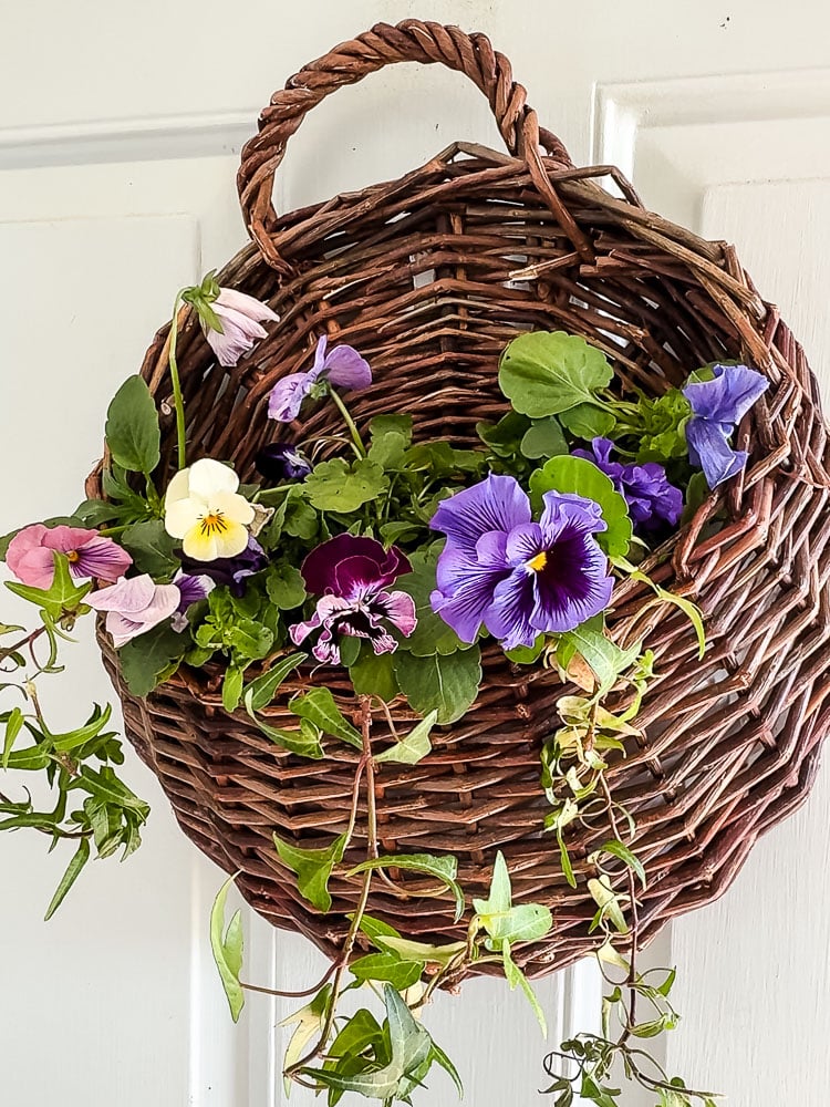 pansy and ivy door basket