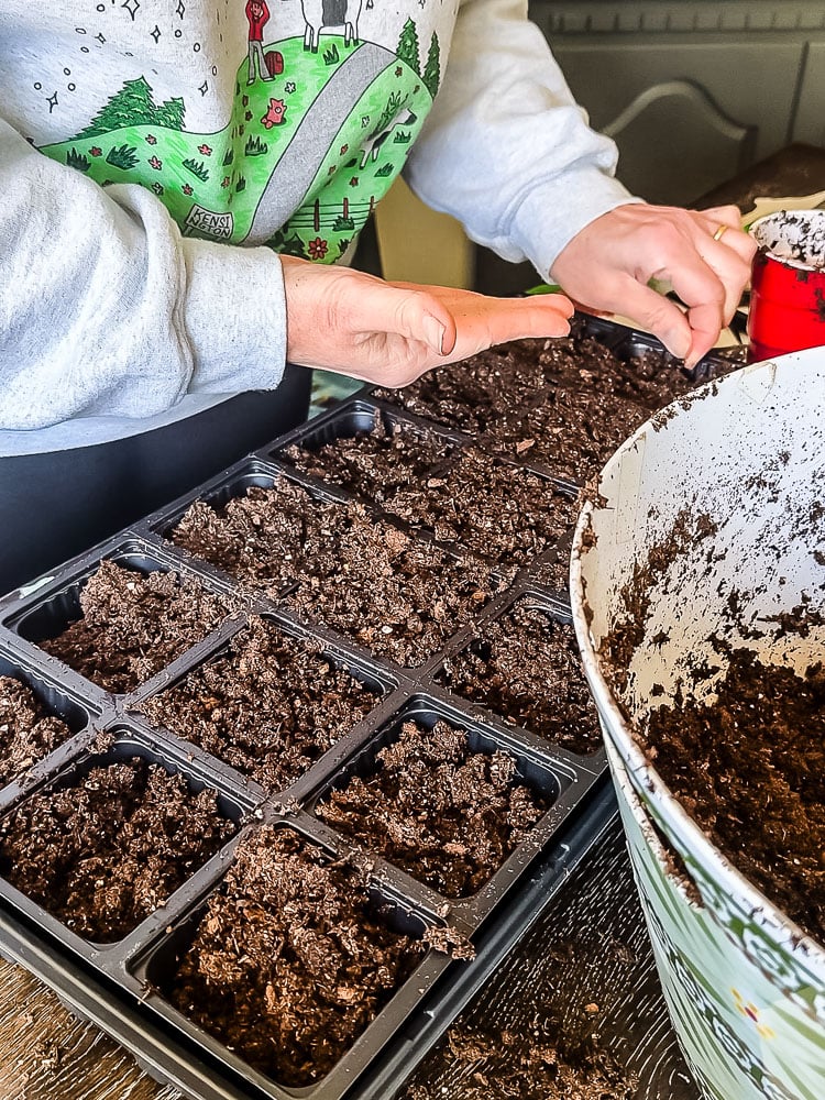 planting seeds indoors