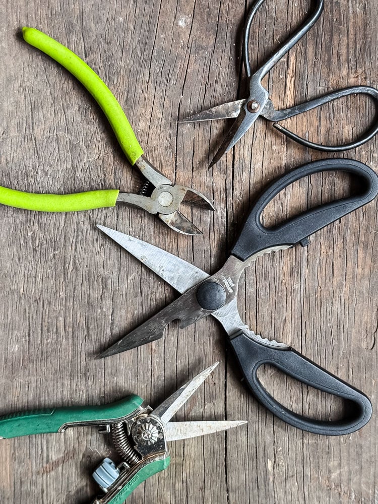 cutting tools: scissors, wire cutters, floral snips