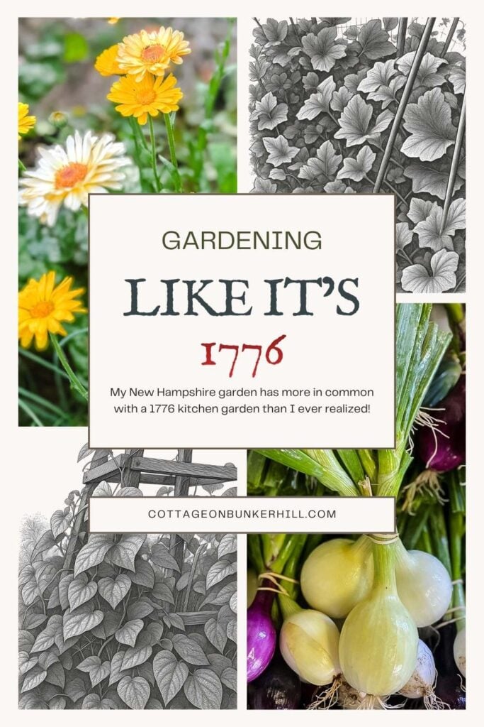 Gardening Like It’s 1776: My 250-Year-Old Roots