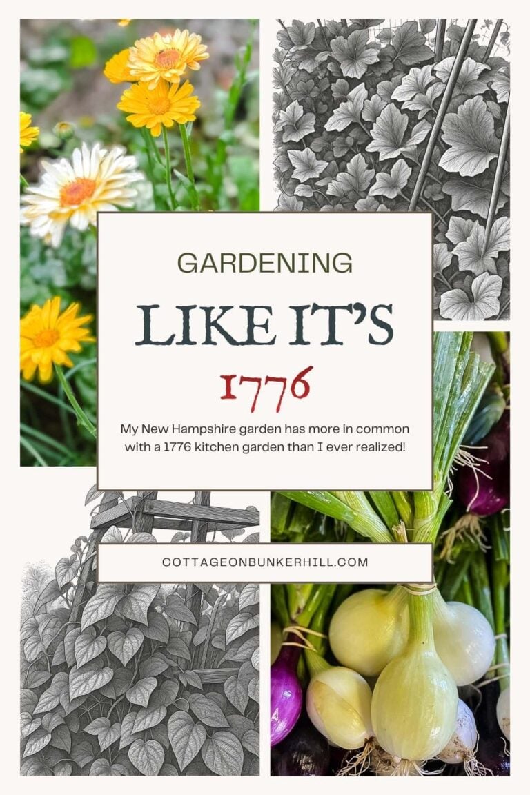 Gardening Like It’s 1776: My 250-Year-Old Roots