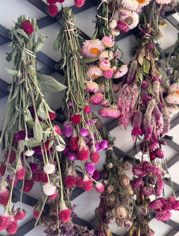 dried flowers hanging on a rack