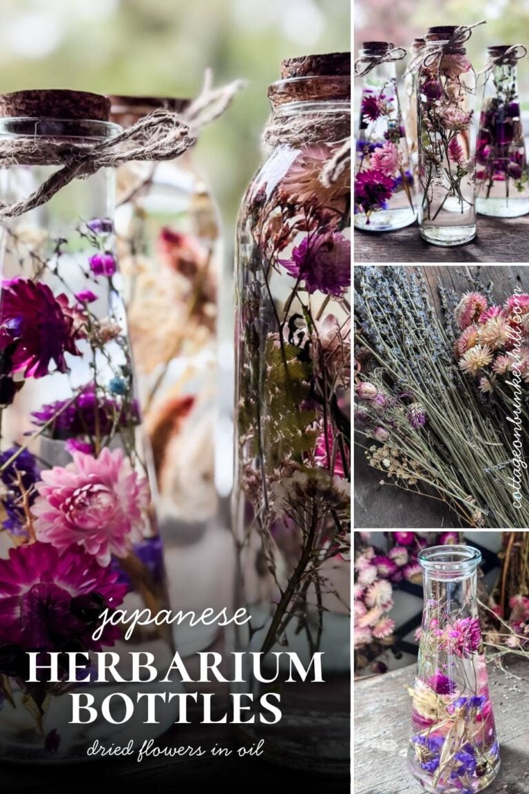 Japanese Herbarium Bottles: Preserve Your Flowers in Oil