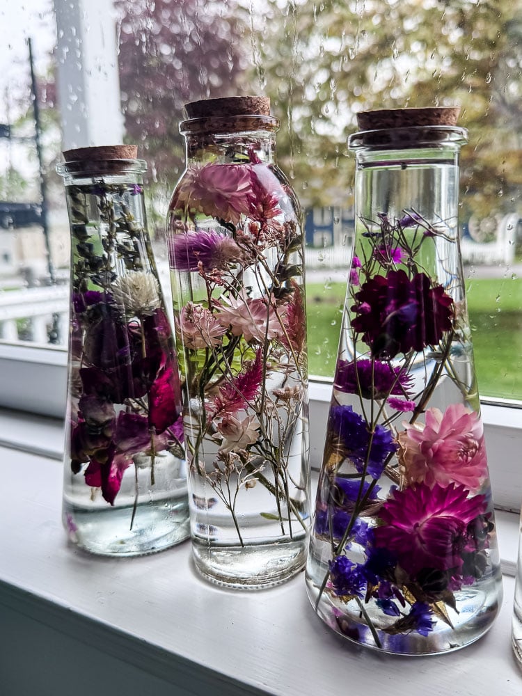 glass flower herbarium bottles displayed in a window