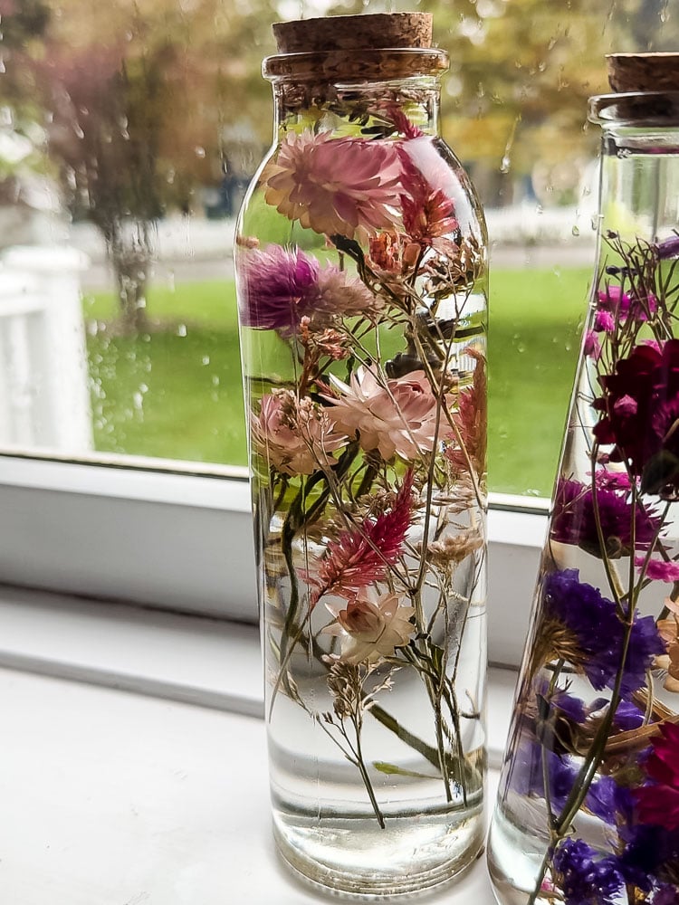 glass herbarium bottle in window filled with pink flowers