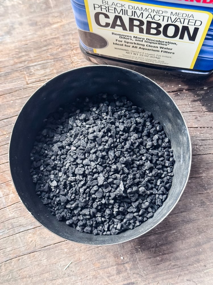 activated charcoal in bowl