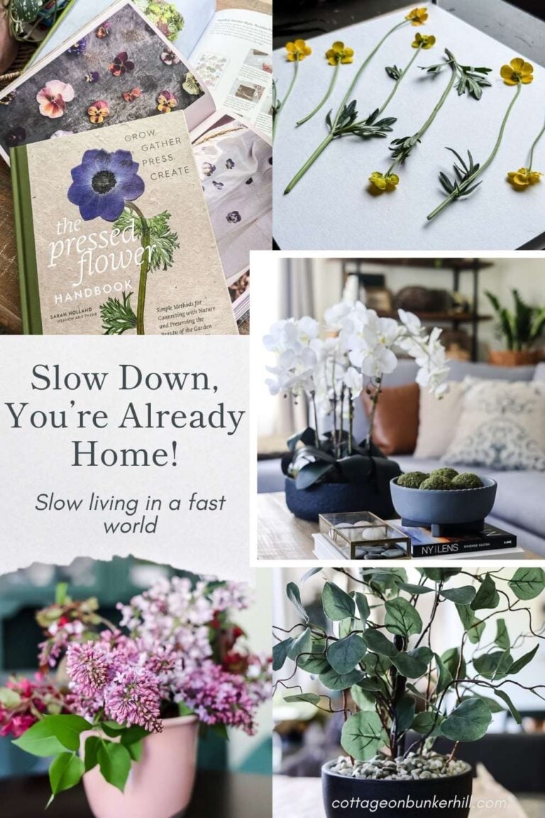 Slow Down, You’re Already Home