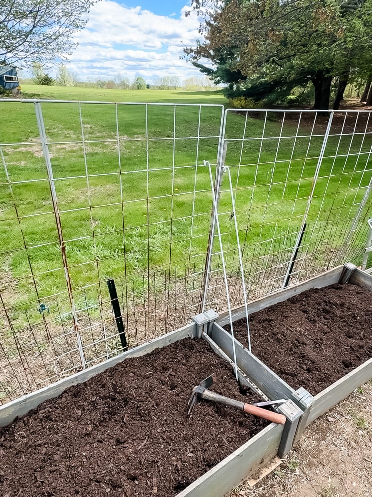  2 raised garden beds with trellises
