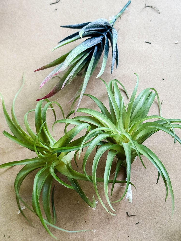 artificial air plants on brown paper