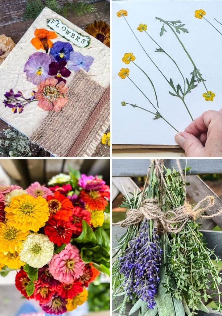 collage of flower pictures