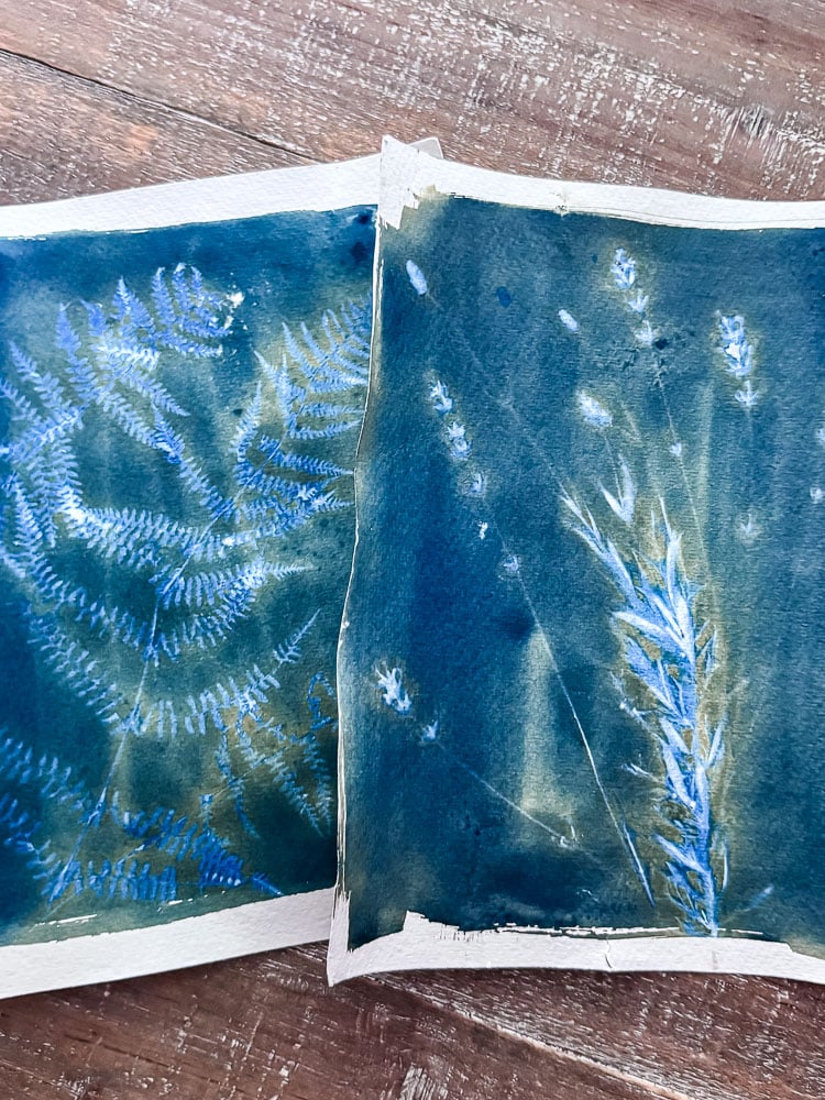 cyanotype prints with bad result