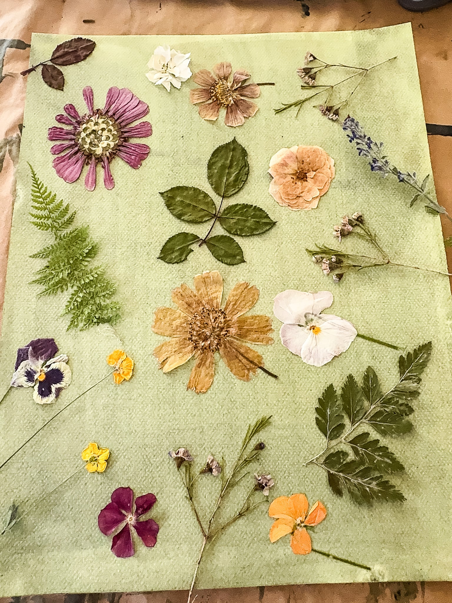 cyanotype with flower collage