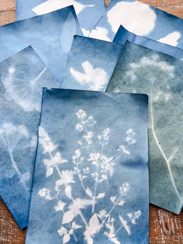 litgh blue cyanotype prints