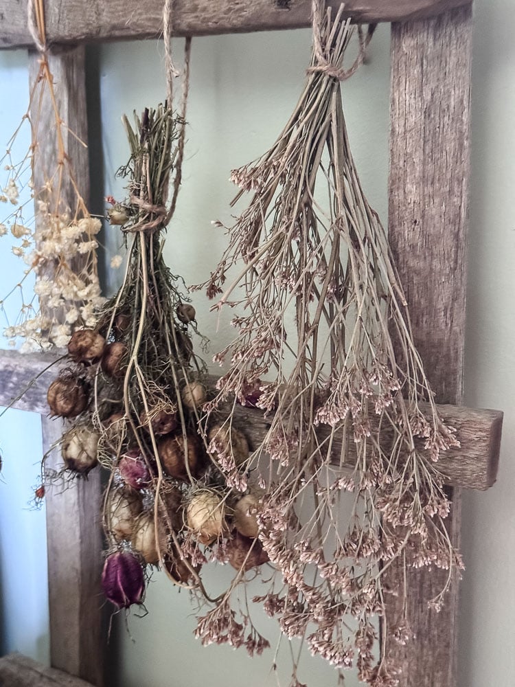 bundles of dried flowers hanging from a rustic ladder