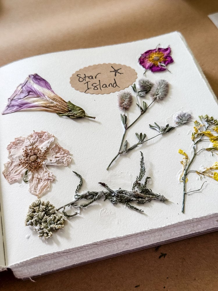 pressed flowers glued in a journal
