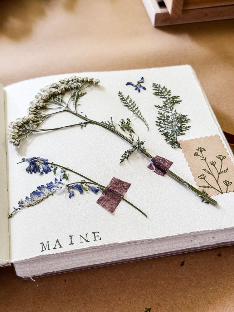 pressed flowers taped into a journal with "Maine" stamped on page