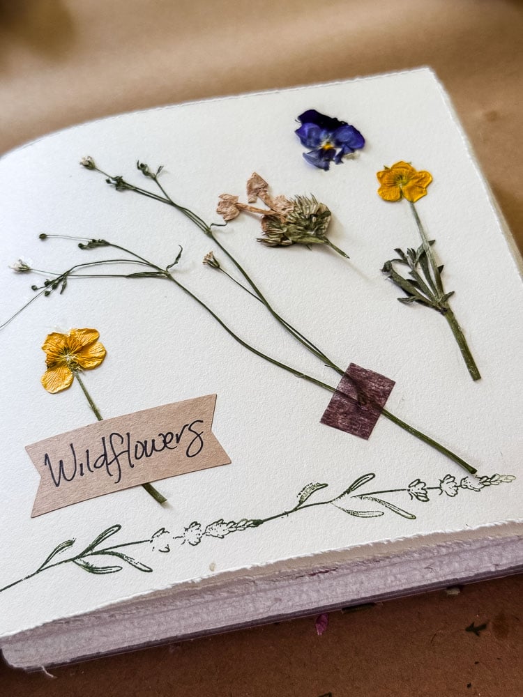 pressed flowers in a journal book