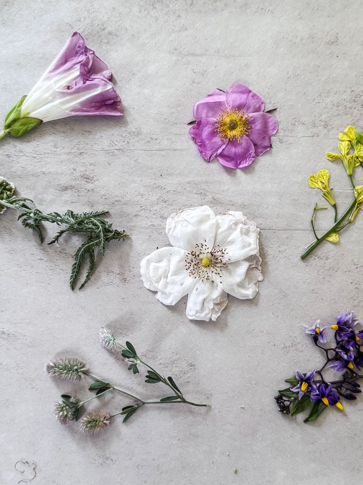 different flowers about to be pressed