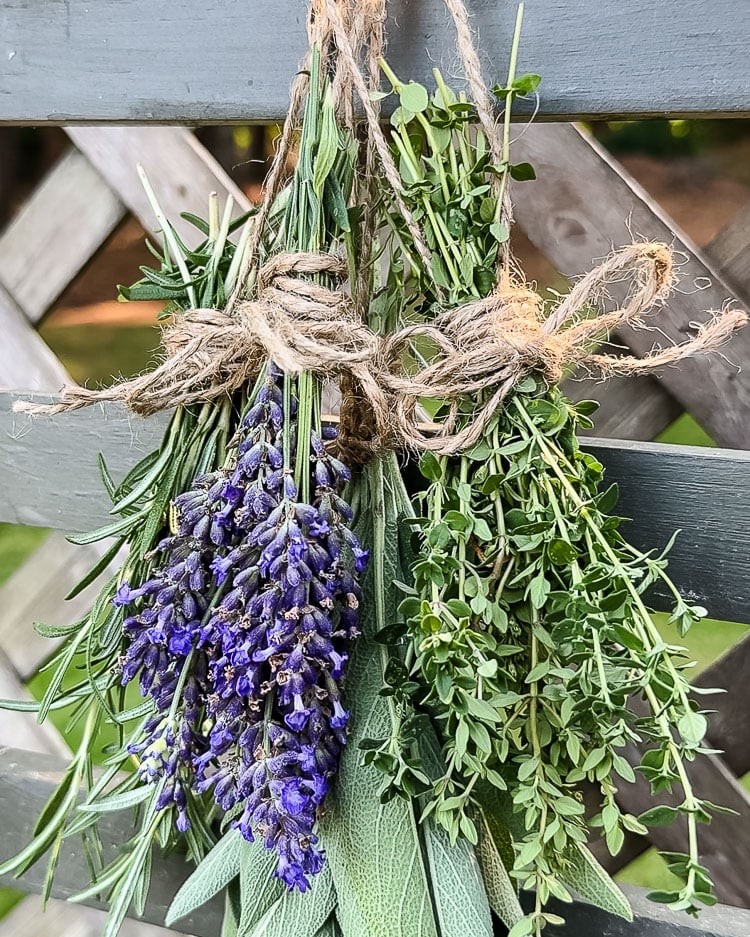 herbs that are bundled with jute twine