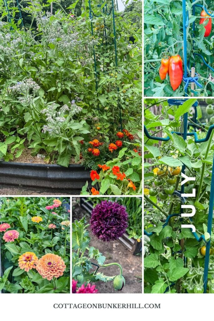 collage of garden photos