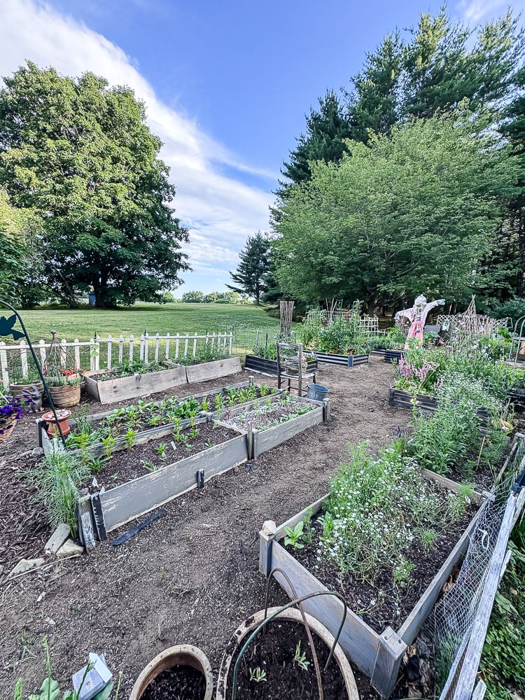large garden with raised beds