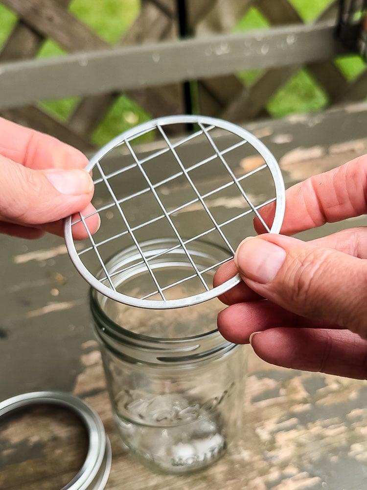 floral frog for mason jar lid