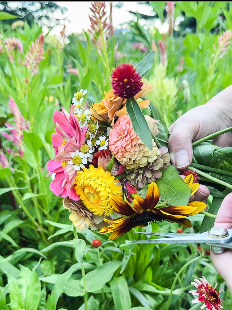 a woman's hand holding garden flowers