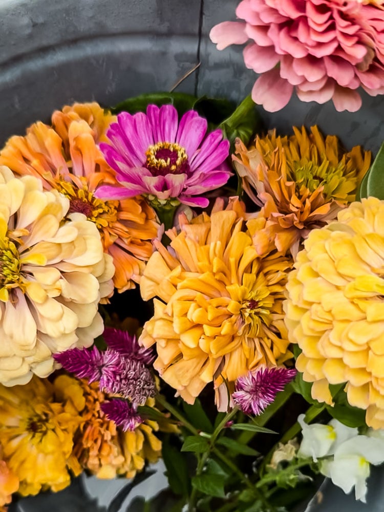 fresh flowers in a metal bucket of water