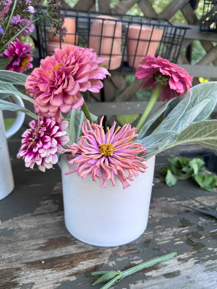 white ceramic vessel with pink zinnias
