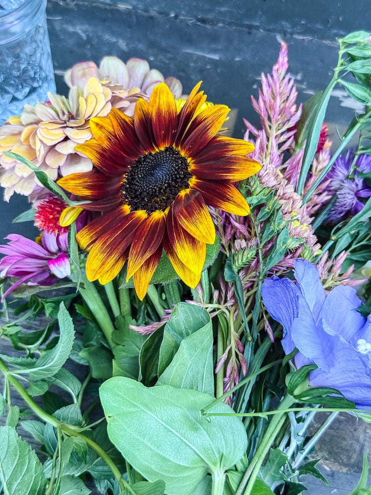 fresh cut garden flowers